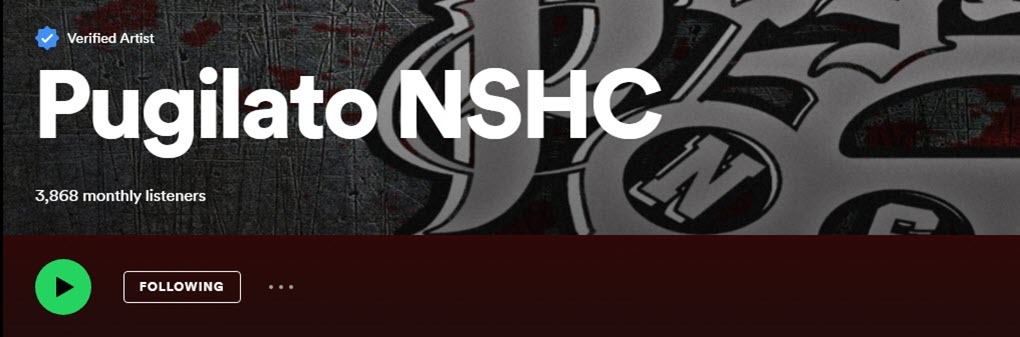 White Supremacist Music Prevalent on Spotify, While Platform Largely Declines to Act