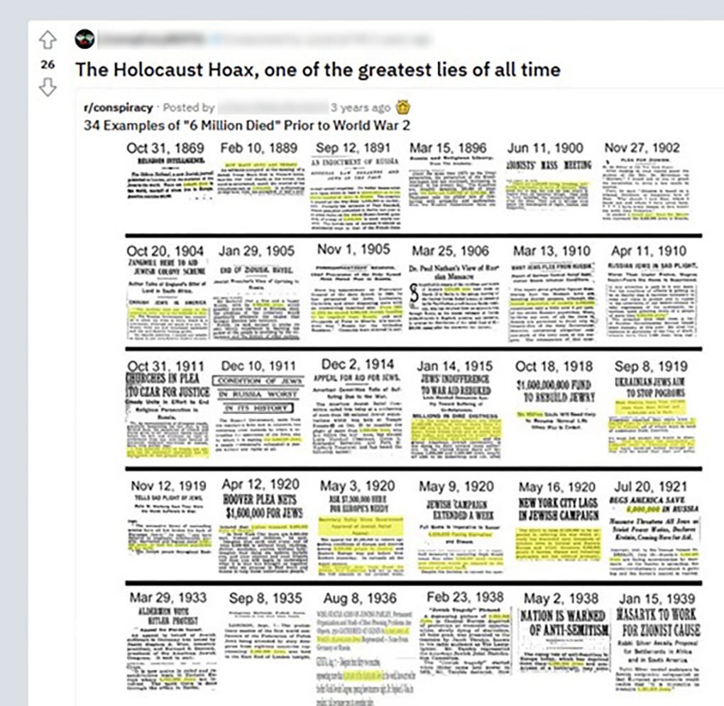 Example of holocaust denial content on Reddit