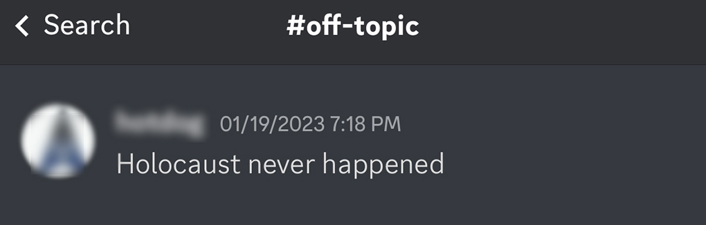 Example of holocaust denial username on Discord