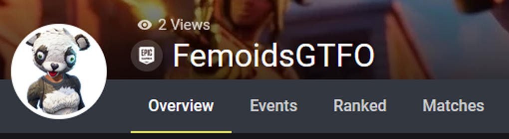 A Fortnite player using the term “femoid” in their username