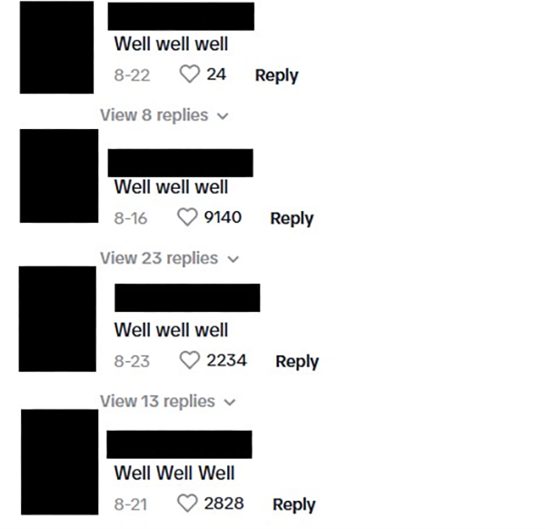 Sliding Through, TikTok report image