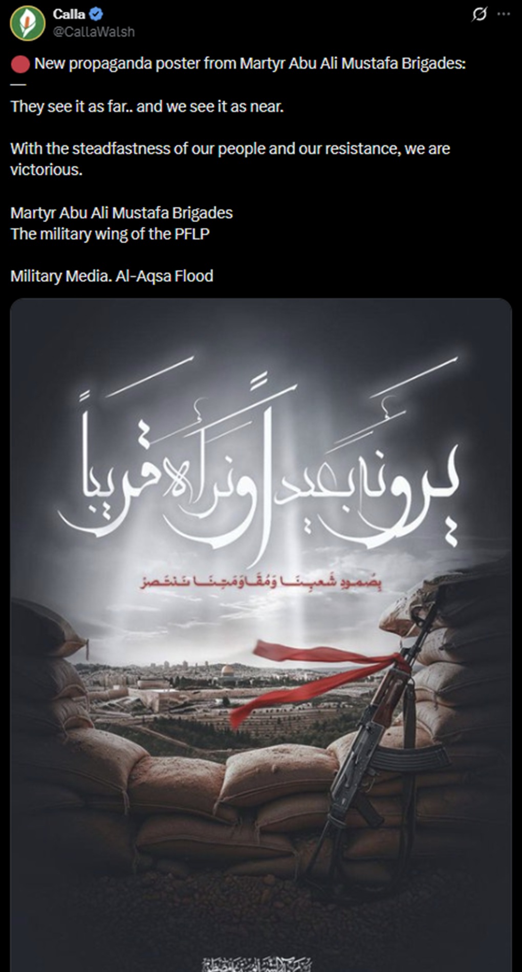 Screenshot: Anti-Zionist activist Calla Walsh PFLP poster