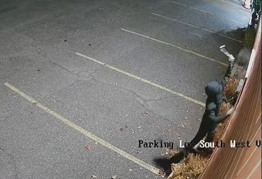 Photo: A still from security footage of a suspect smashing windows at the Kehillat Shaarei Torah synagogue in Toronto, November 4, 2025. (Screenshot/Security footage)