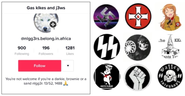 nazi tiktok