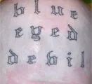 Blue Eyed Devils